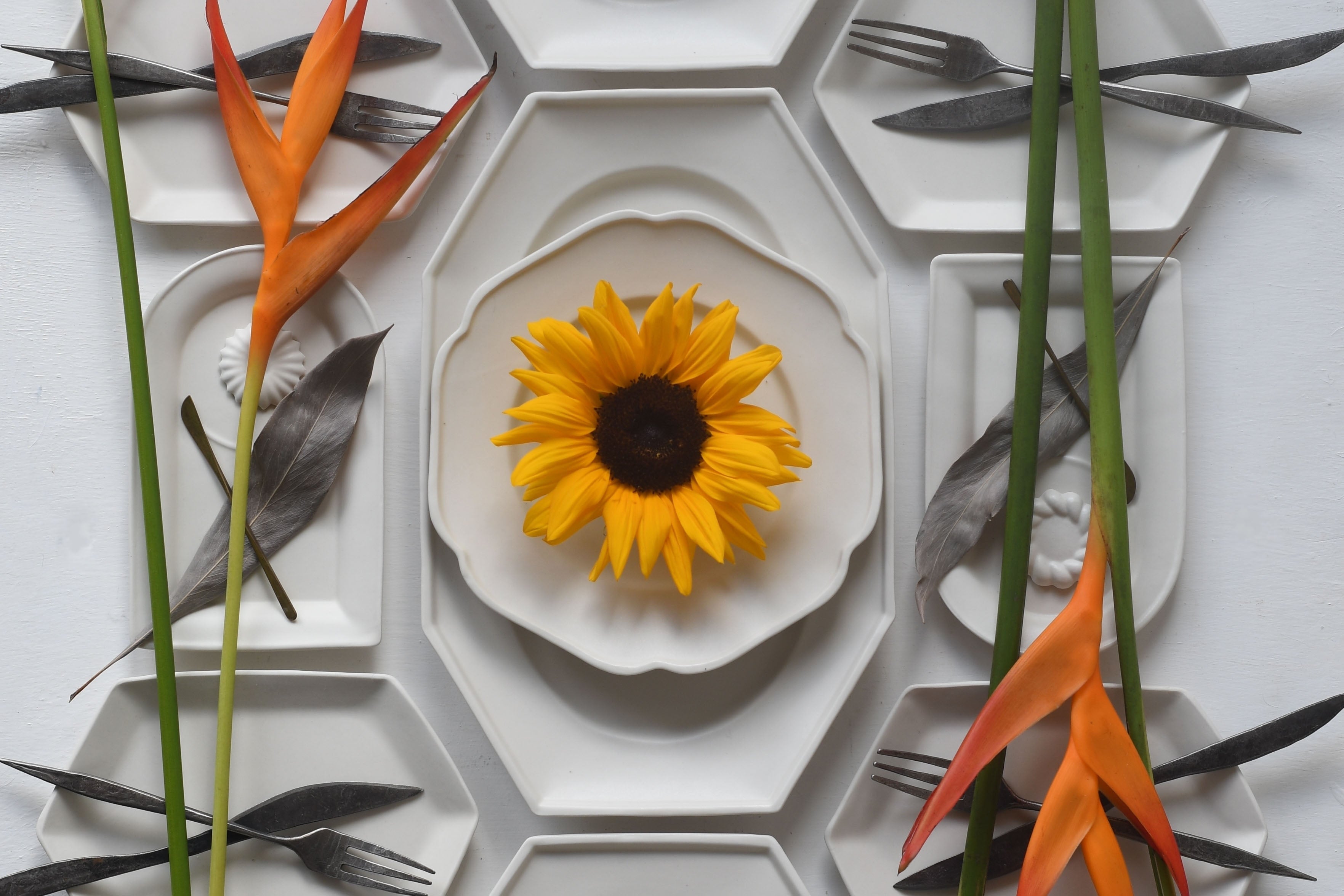 ▲「照井 壮 展」  2025.9.5(金)ｰ15(月)完売のため早期終了いたしました。